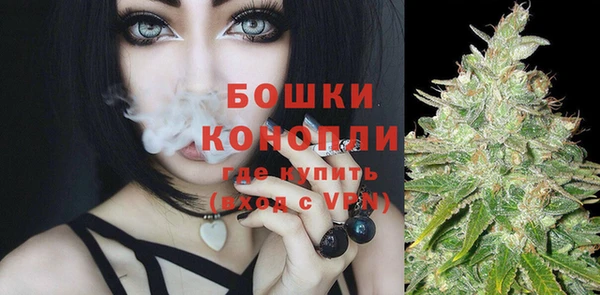 винт Карпинск