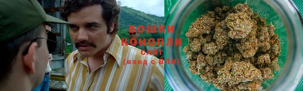 гашиш Касимов