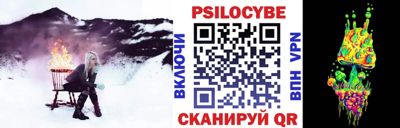 Галлюциногенные грибы GOLDEN TEACHER  Купить  Кизляр 